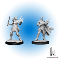 Magic the Gathering Unpainted Miniatures: Rowan/Will Kenrith